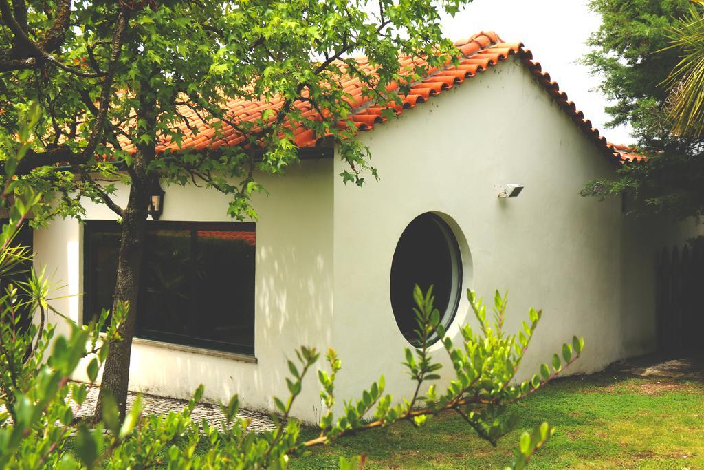 Quinta Santo Antonio do Rio Celorico Da Beira Exterior foto